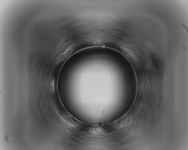 X0000097510262200802291624