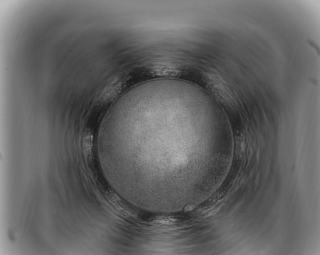 X0000097510263200802291625