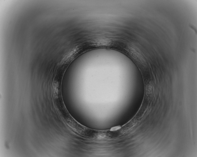 X0000097510264200802291625