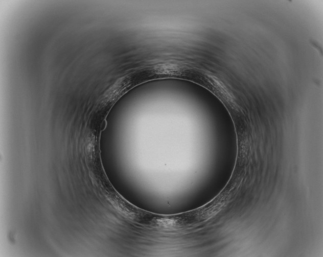 X0000097510265200802291625