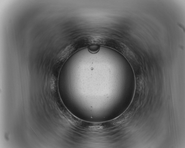 X0000097510266200802291625