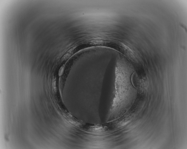 X0000097510267200802291625