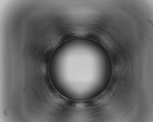 X0000097510268200802291625