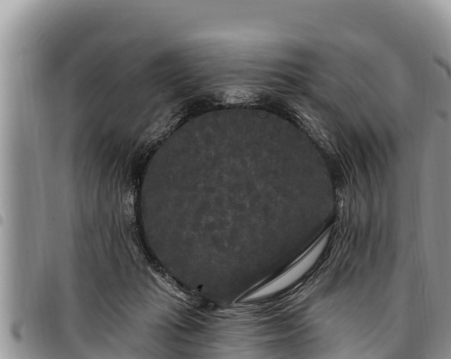 X0000097510269200802291625