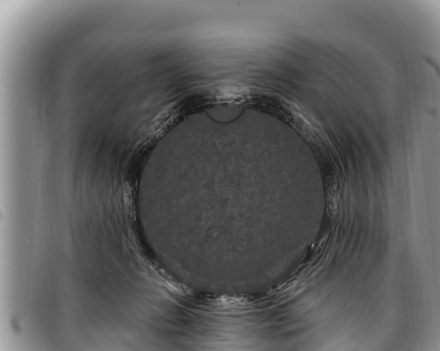 X0000097510270200802291625