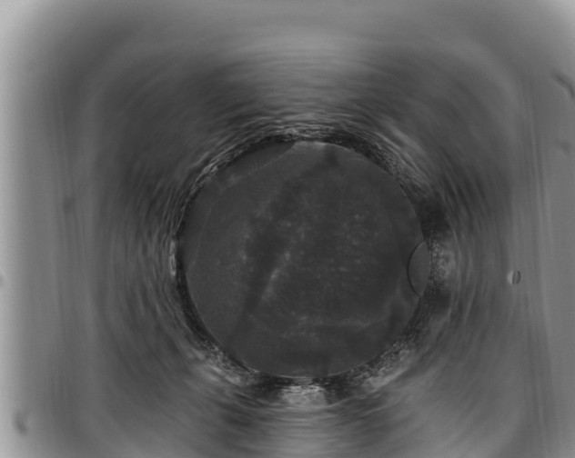 X0000097510271200802291625