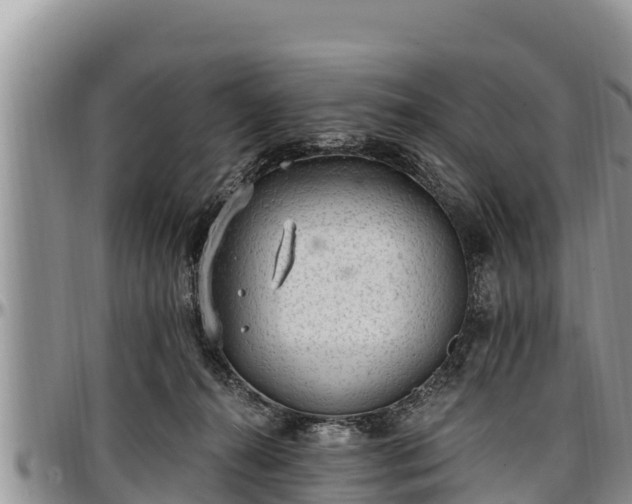 X0000097510272200802291625