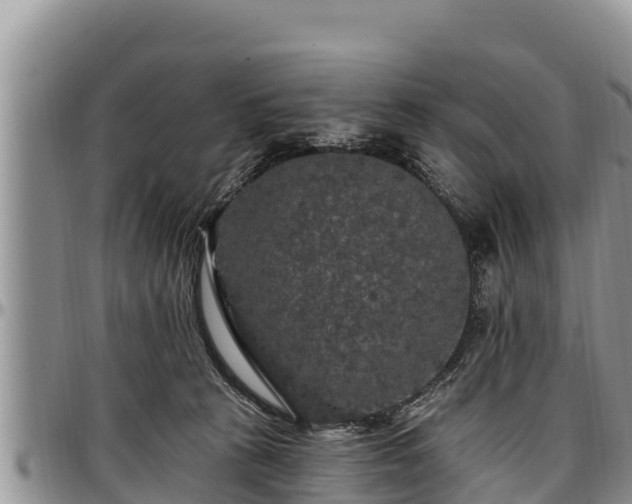 X0000097510273200802291625