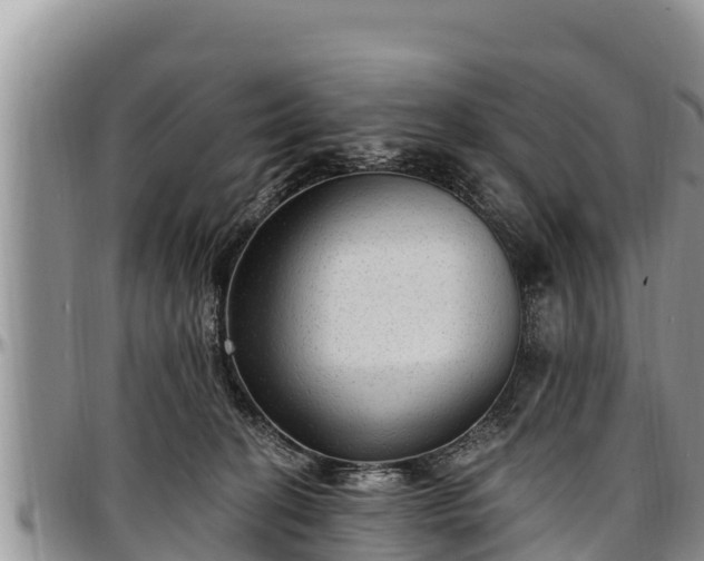 X0000097510274200802291625