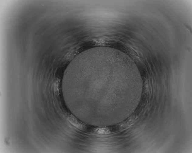 X0000097510275200802291625