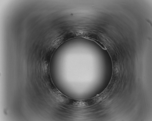 X0000097510276200802291625