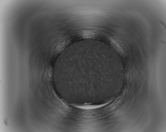 X0000097510277200802291625