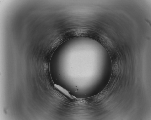 X0000097510278200802291625