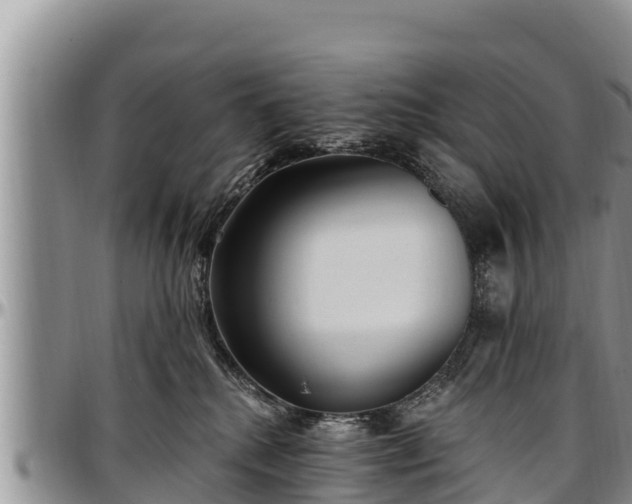 X0000097510280200802291625