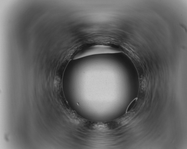 X0000097510283200802291625