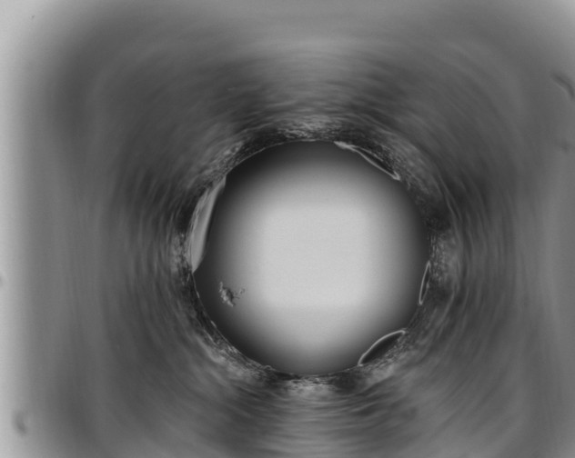 X0000097510284200802291625