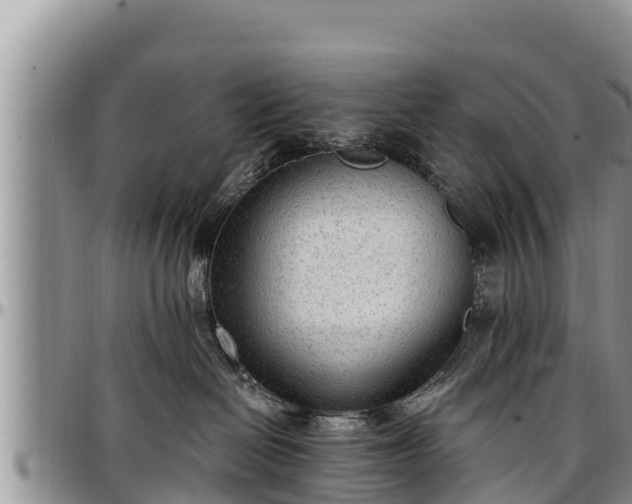 X0000097510286200802291625