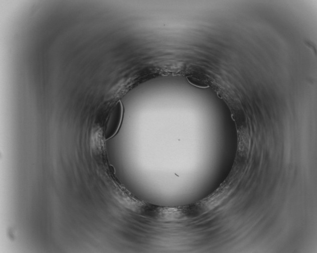 X0000097510287200802291625