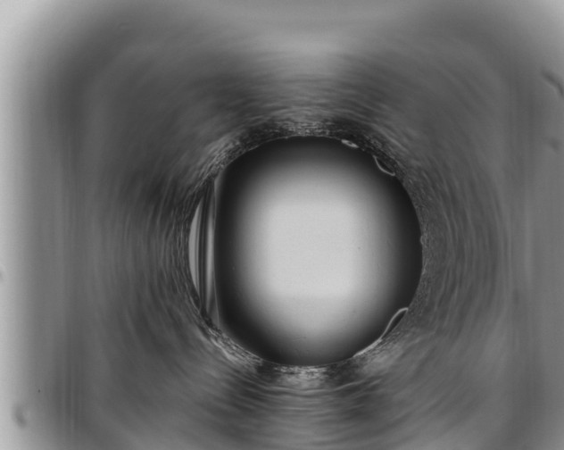 X0000097510288200802291625