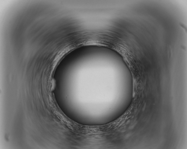 X0000097510289200802291624