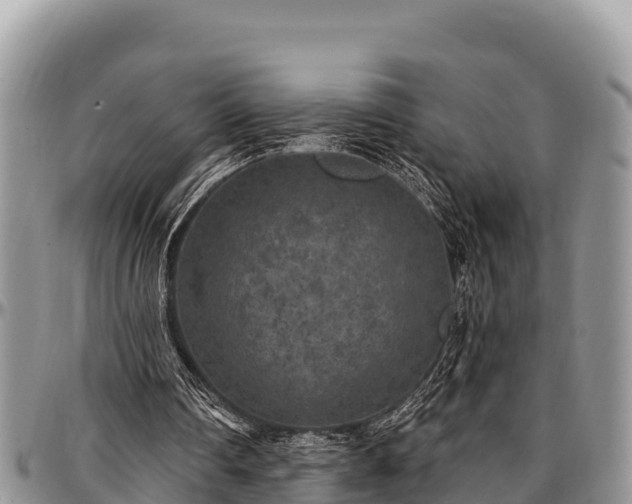 X0000097510290200802291624