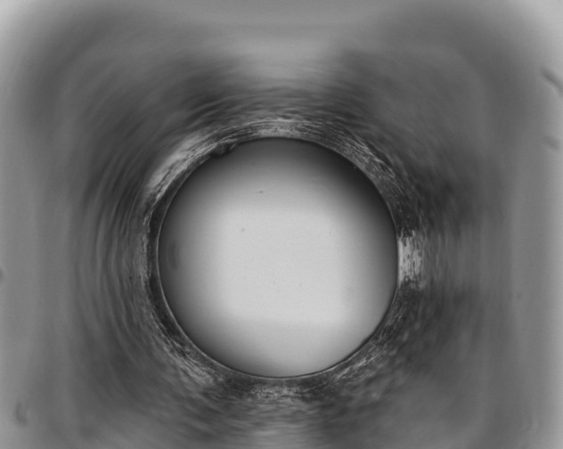 X0000097510291200802291624