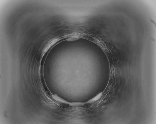 X0000097510292200802291624