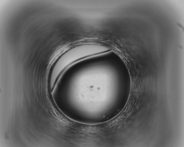 X0000097510293200802291624