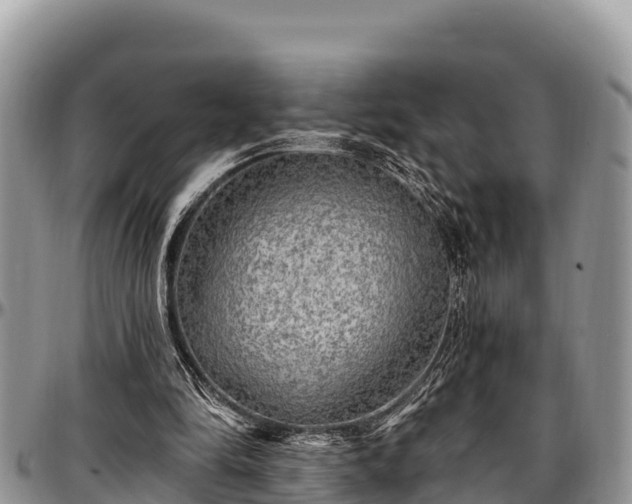 X0000097510294200802291624