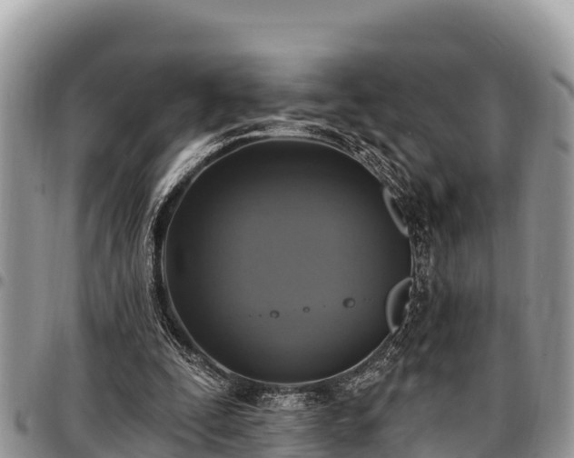 X0000097510295200802291624