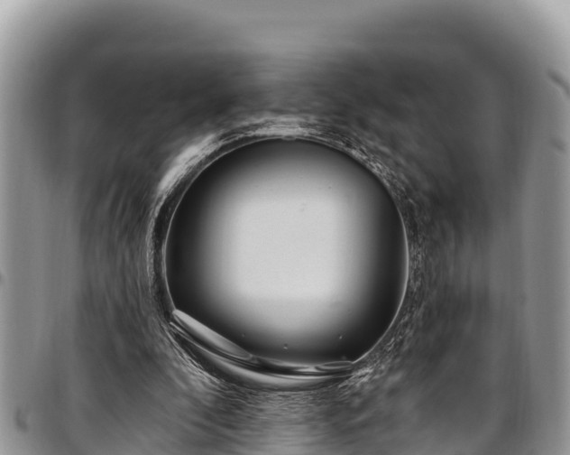 X0000097510296200802291624