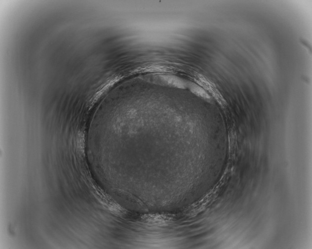 X0000097510297200802291624