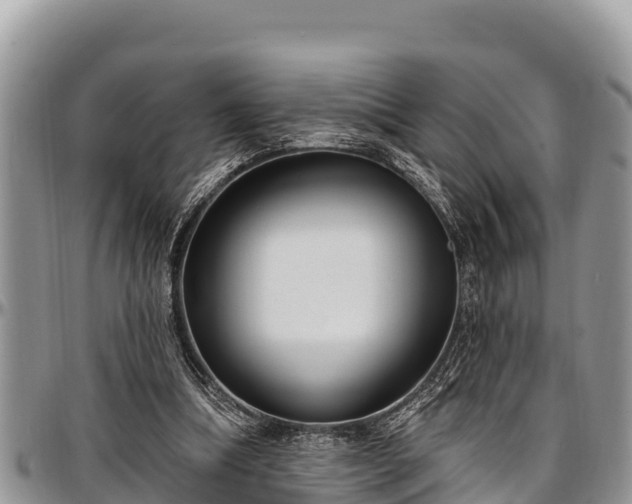 X0000097510298200802291624