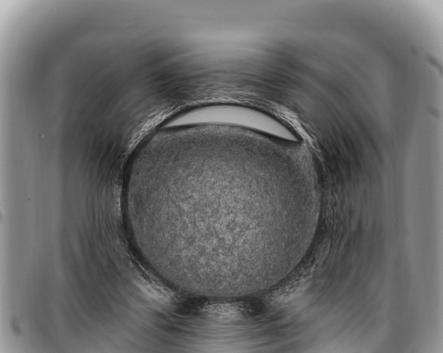 X0000097510299200802291624