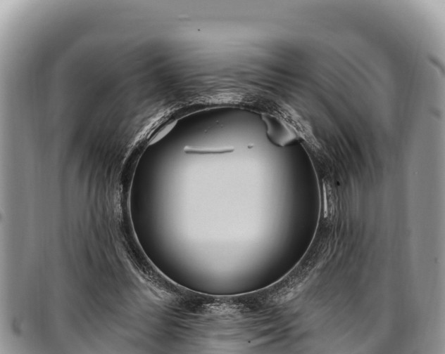 X0000097510300200802291624