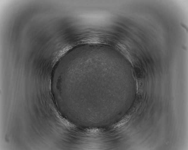 X0000097510301200802291624