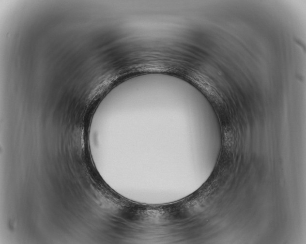 X0000097510302200802291624