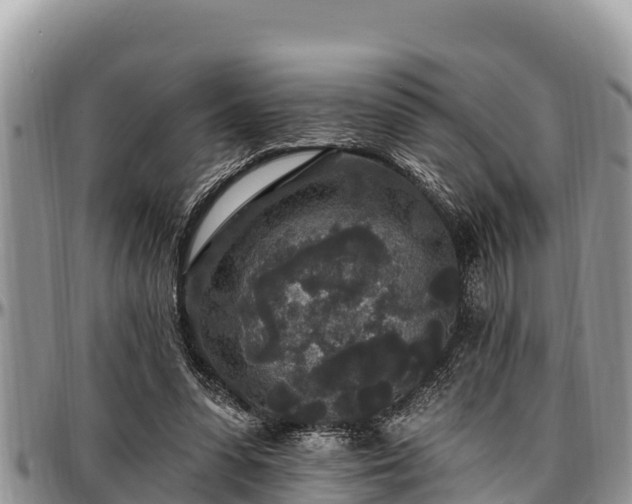 X0000097510303200802291624