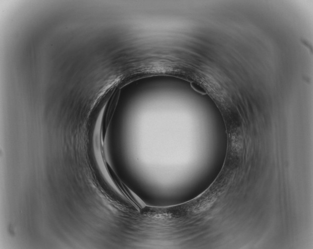 X0000097510304200802291624