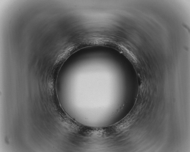 X0000097510306200802291624