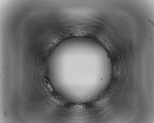 X0000097510307200802291624