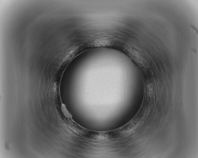 X0000097510308200802291624