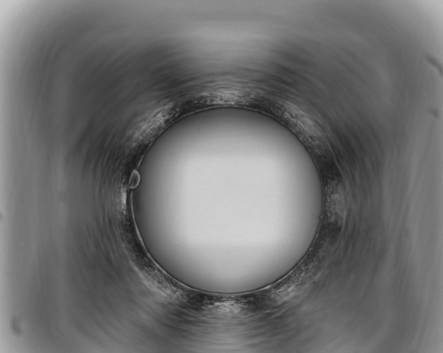 X0000097510310200802291624