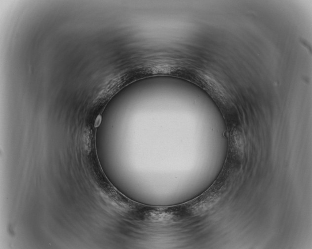 X0000097510311200802291624