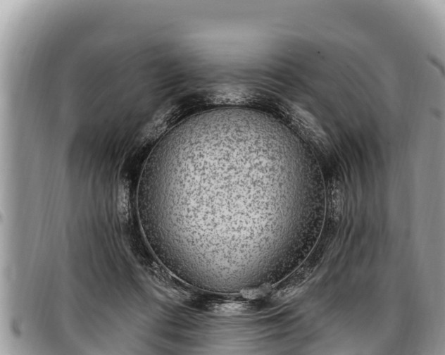 X0000097510312200802291624