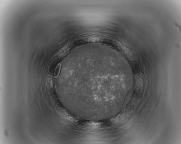 X0000097510313200802291624