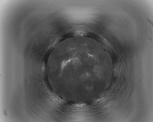 X0000097510314200802291624