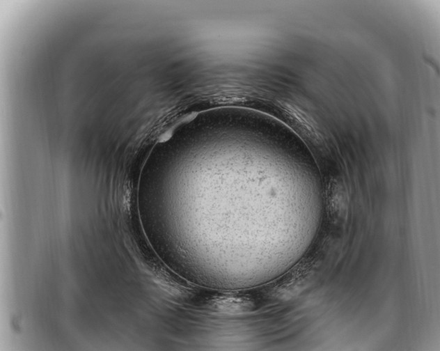 X0000097510315200802291624