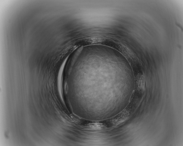 X0000097510316200802291624