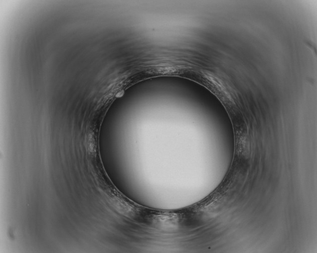 X0000097510317200802291624